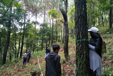 Kerjasama dengan PT. Sarbi Moerhani Lestari