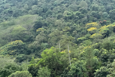 Kerjasama dengan Desa Cinanjung