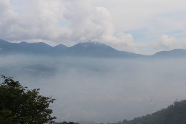 Vegetasi dan View