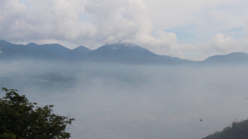 Vegetasi dan View