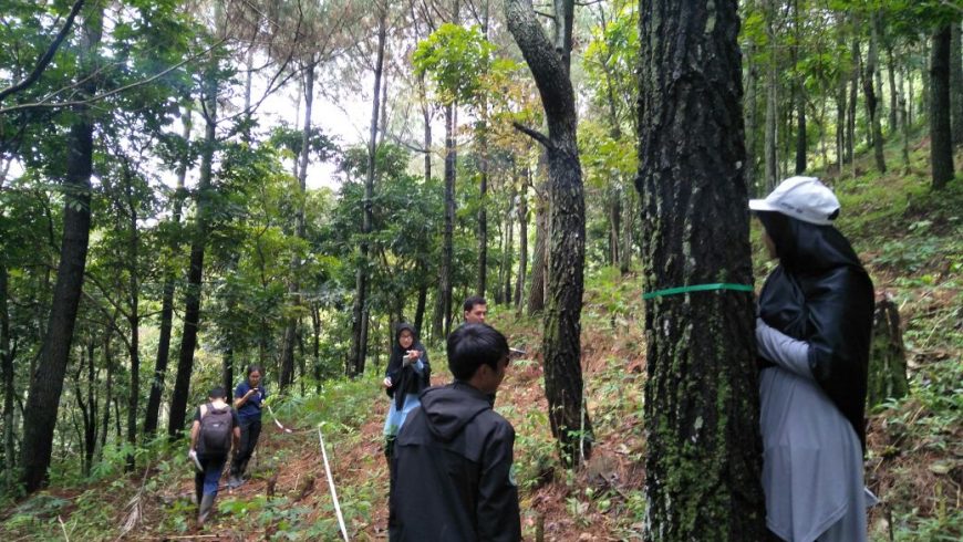 Praktikum dan Kuliah Lapangan
