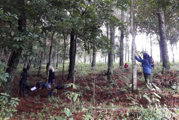 Praktikum dan Kuliah Lapangan