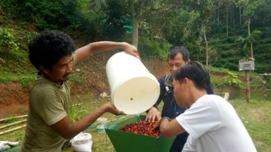 PPM dan Penelitian