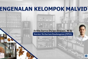 Mahasiswa Departemen Biologi, FMIPA, IPB University, belajar mengenal kelompok Malvid bersama Herbarium Bandungense