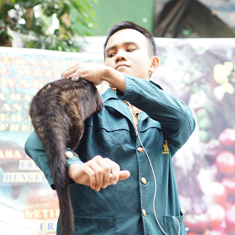 KuLapy