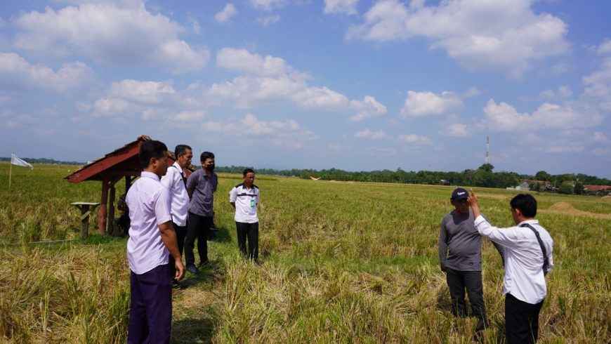 Observasi Lapangan Penelitian Pengaruh Aksesibilitas Transportasi terhadap Urbanisasi Petani Padi di Kabupaten Indramayu