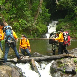 cropped-IMG_0524.jpg