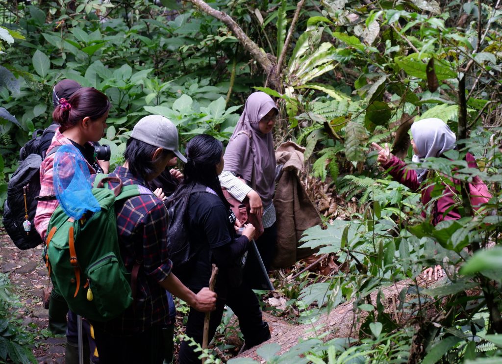Kegiatan pengamatan siang saat kuliah lapangan Taksonomi Hewan di Taman Nasional Gunung Gede Pangrango. Foto: Tim Asisten Kuliah Lapangan Taksonomi Hewan 2020
