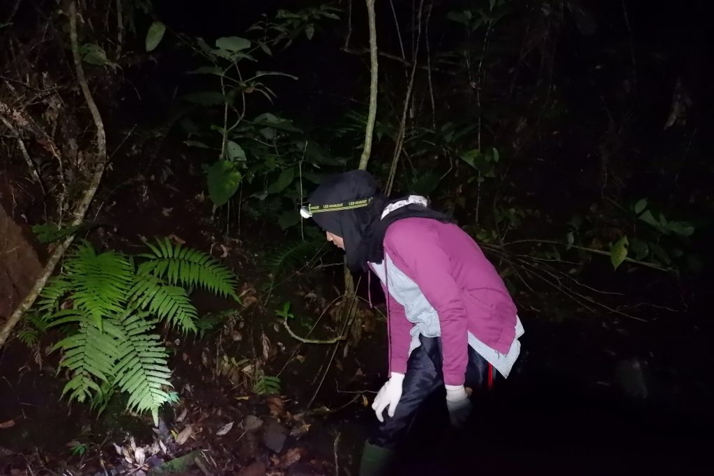 Pengamatan hewan malam di Taman Nasional Gunung Gede Pangrango. Foto: Tim 